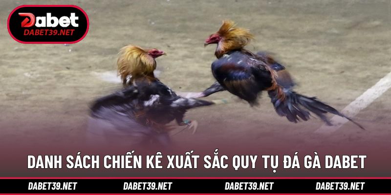 Điểm qua đa dạng chiến kê xuất sắc xuất hiện tại giải 
