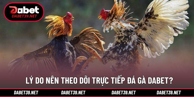 Tại sao người chơi nên chinh phục trải nghiệm cược trực tiếp