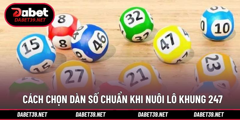 Nuôi lô khung 247 hiệu quả cao