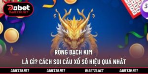 Rồng Bạch Kim Là Gì? Hướng Dẫn Soi Cầu Hiệu Quả 99%